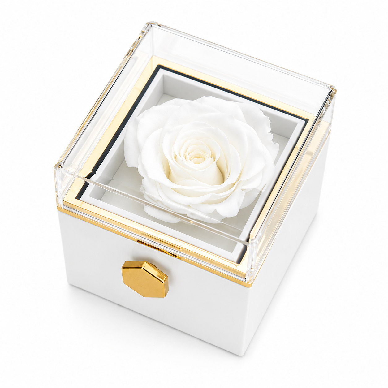 Coffret Cadeau Rose Éternelle